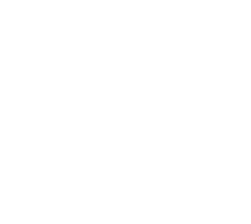 University Partners