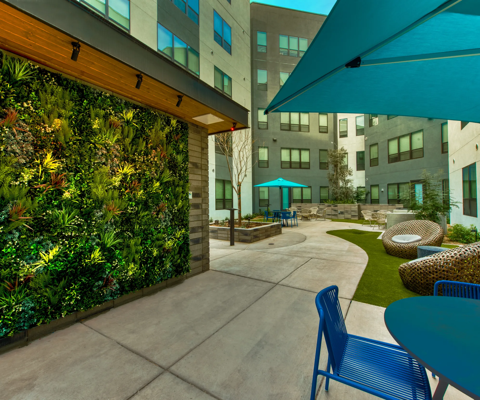 A living green wall and shaded courtyard seating at Canvas Tempe